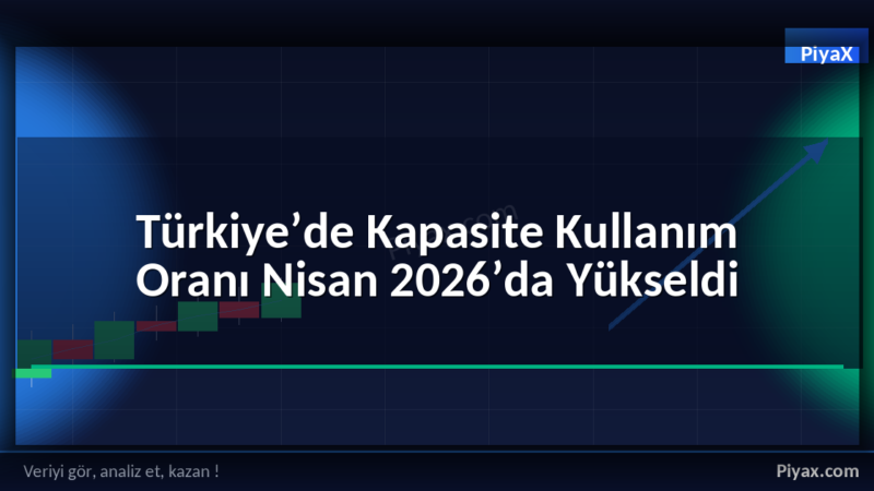 Kapasite Kullanım Oranı