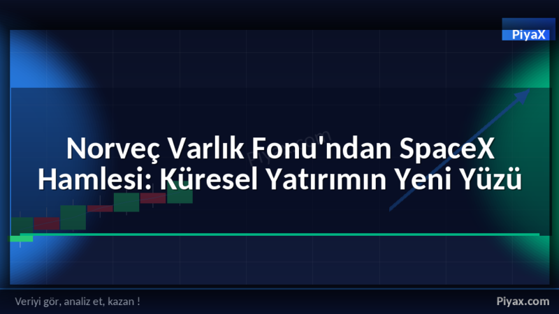 Norveç Varlık Fonu SpaceX yatırımı
