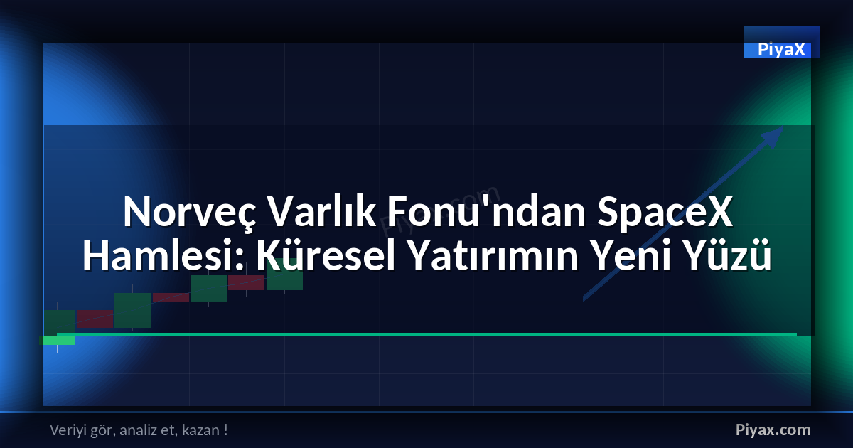 Norveç Varlık Fonu SpaceX yatırımı
